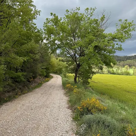 La Caseta De Sant Grau Country house Naves (Catalonia)